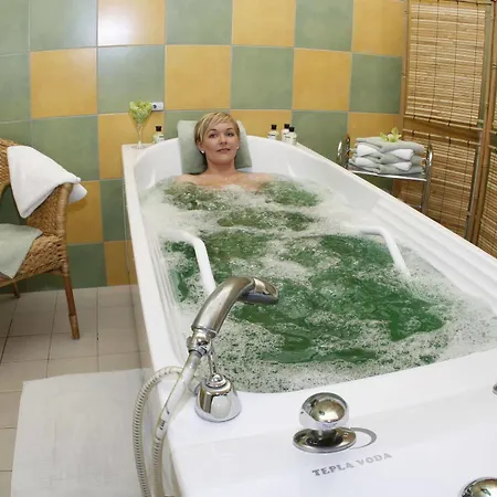 ホテル Wellness Diana Velké Losiny