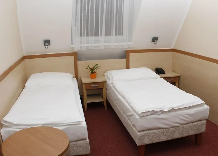Wellness Diana Hotel Velké Losiny