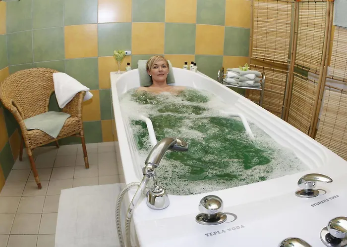 Hotel Wellness Diana Velké Losiny