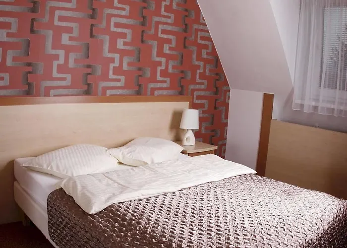 Hotel Wellness Diana Velké Losiny
